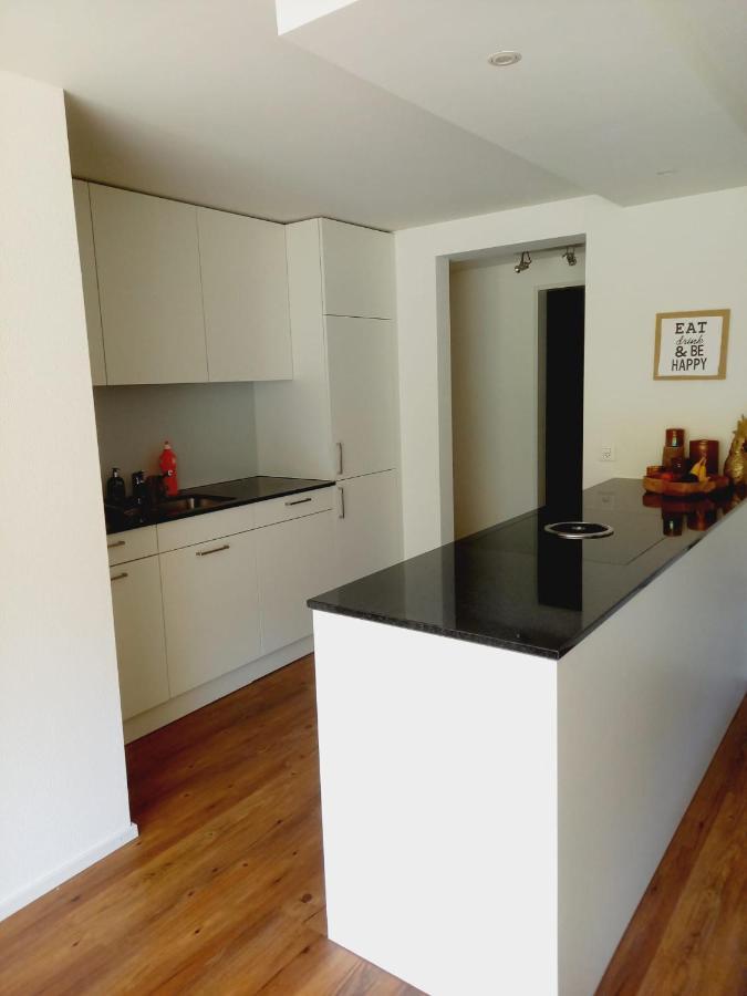 Neue Wohnung An Stadtrand Mit Parkplatz Ebikon Экстерьер фото
